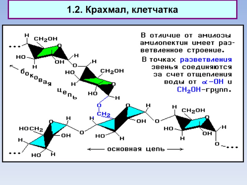 1.2. Крахмал, клетчатка